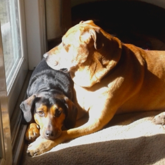 Meet your Posher, Erik - Picture 1 of 1